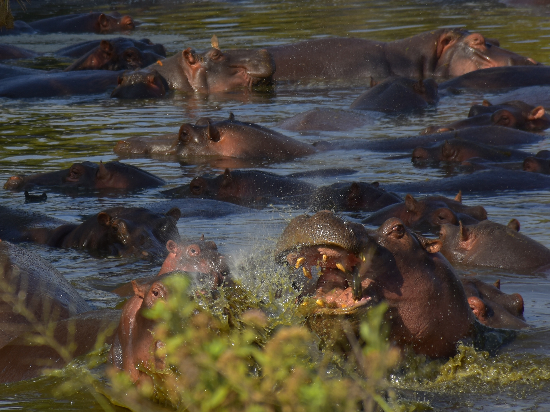 4days-tarangire-serengeti-and-ngorongoro-crater